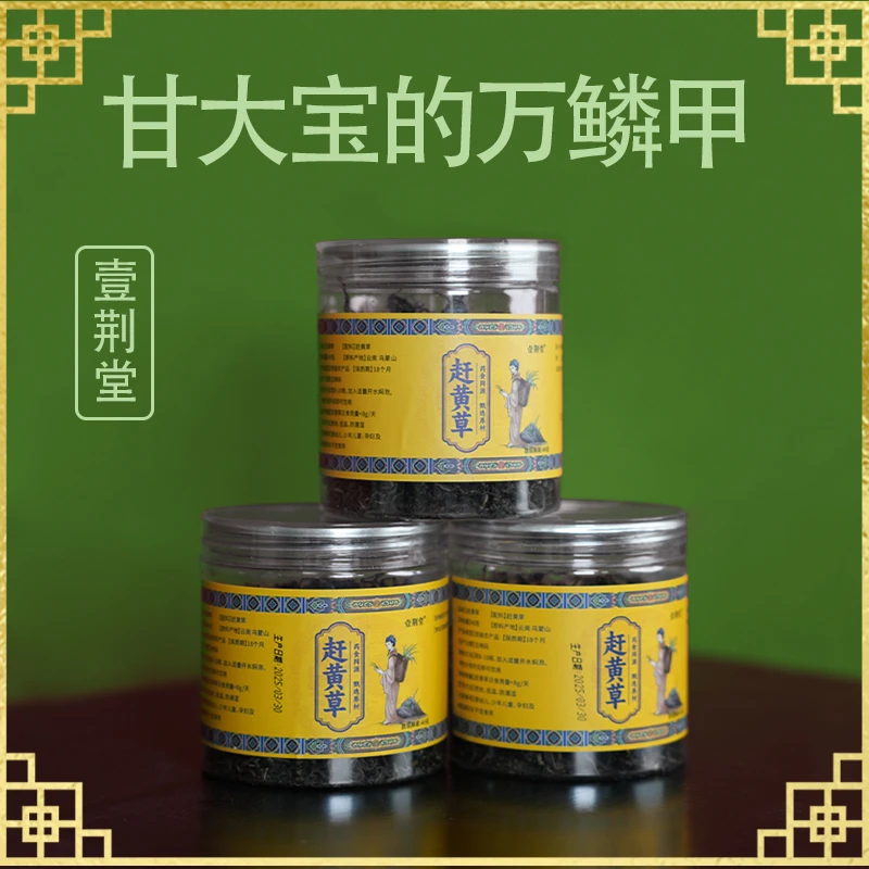 【大伟老师】高海拔野生赶黄草——乌蒙山头茬赶黄草  到手4罐