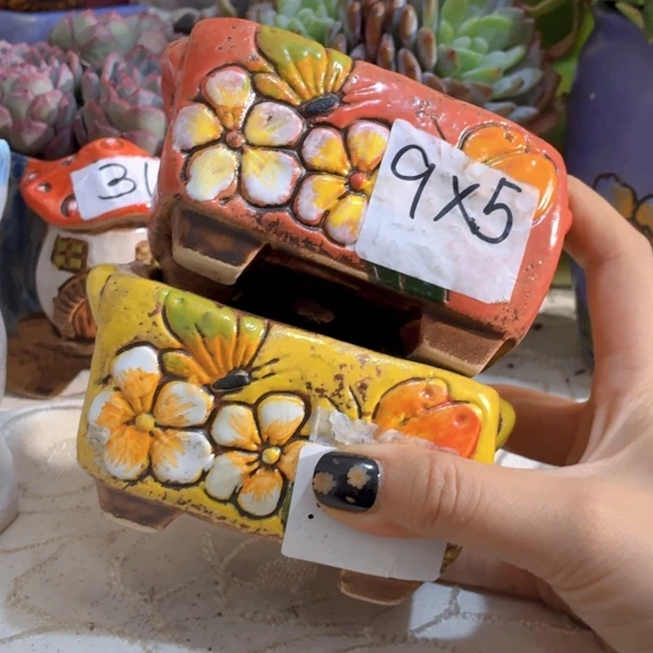 多肉花盆满15包邮