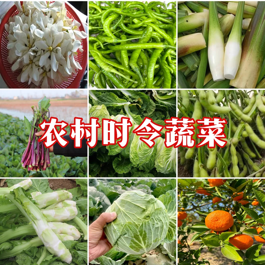 【顺丰包邮】江西 农家 蔬菜 瓜果 农特产