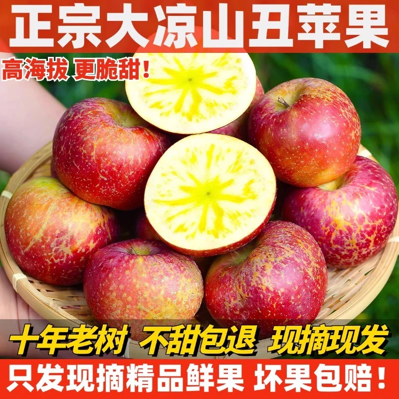 【中通快递】正宗大凉山盐源老树冰糖心丑苹果脆甜多汁新鲜现摘水果