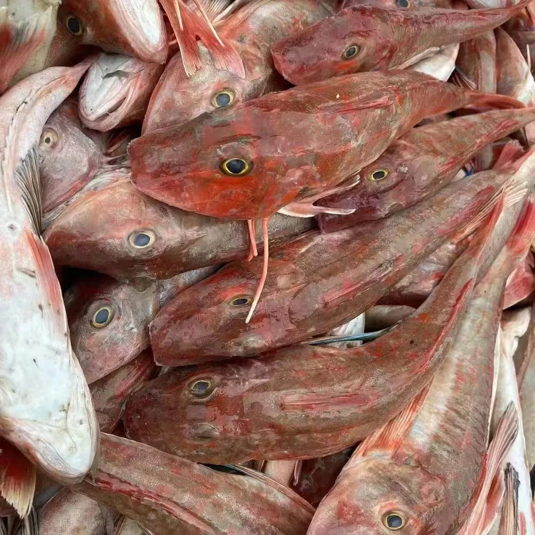 开海啦!新鲜海杂鱼海鲜大杂烩小杂鱼新鲜鲜活便宜顺丰包邮