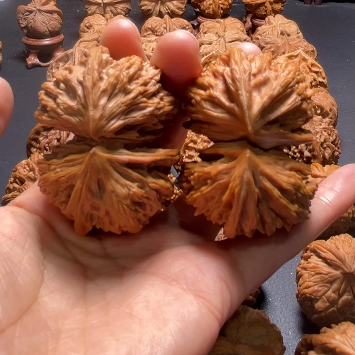 文山桥连50尺寸核桃哈哈哈哈哈哈