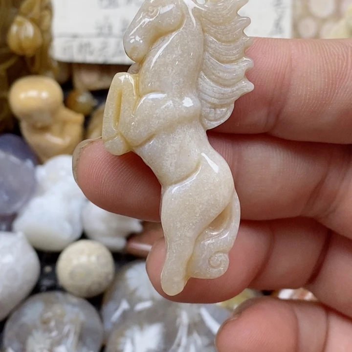 颈饰未镶嵌硅化珊瑚（珊瑚玉）