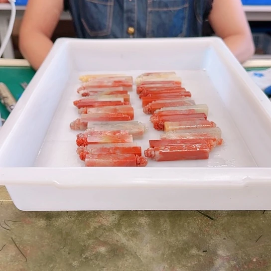 王***室青田石0000000000000