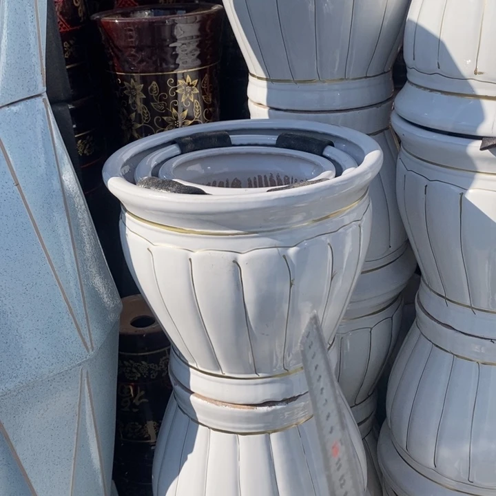 低腰白南瓜特大号口41/38