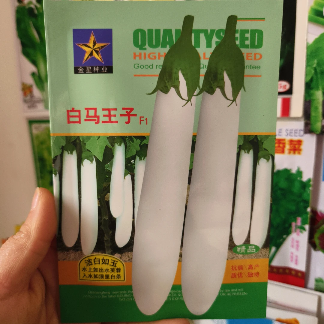 白茄种籽白马王子长茄子高产早熟洁白如玉