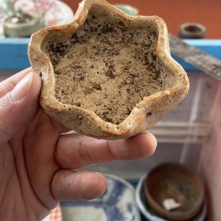 碟开播了开播了开播了