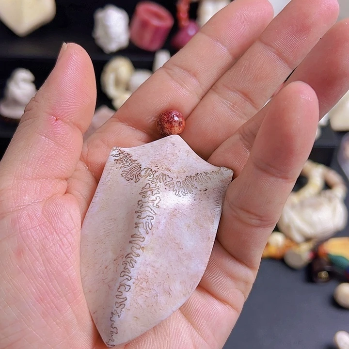七*星养殖鹿头骨制作三界牌