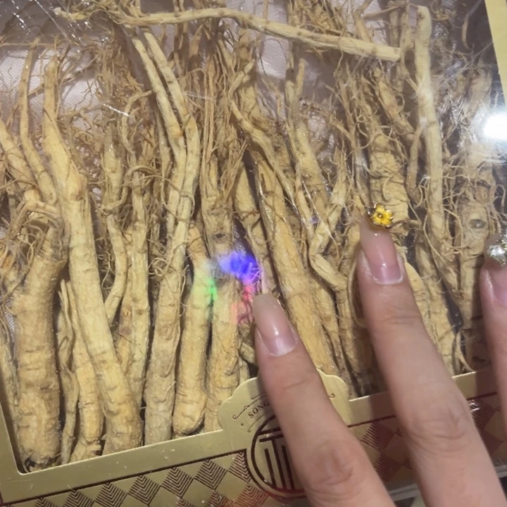 紫砂————————————————