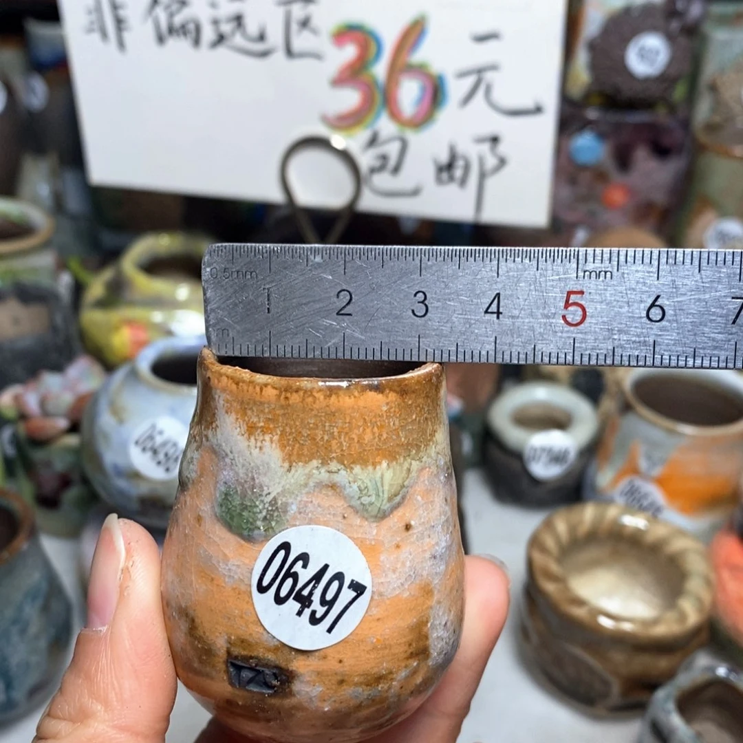 花盆拍5送一个小礼物