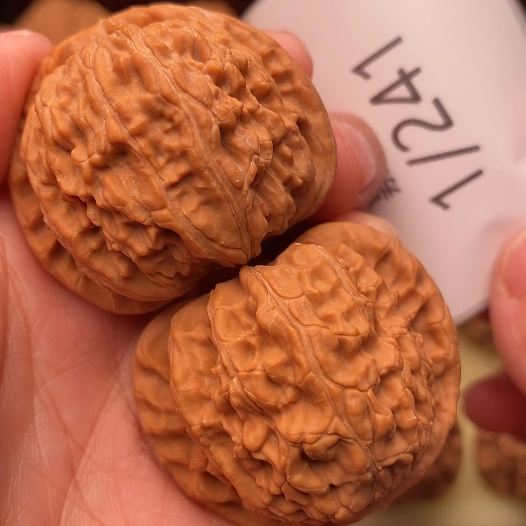 把件文玩核桃39白狮子