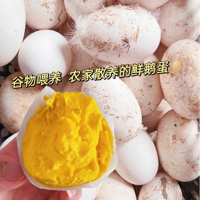 农村散养土鹅蛋  笨鹅蛋 山养鹅蛋 开春新开张的 顺丰包邮