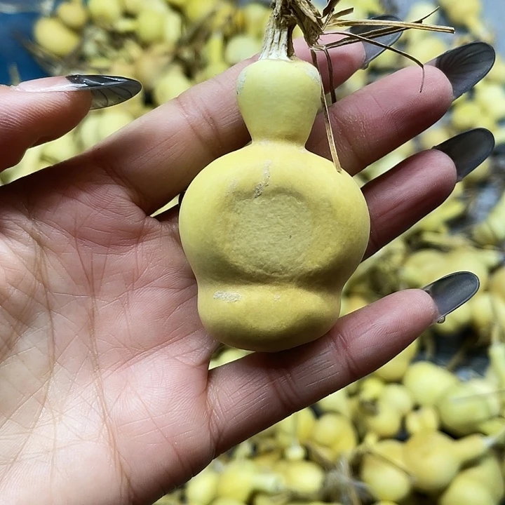 卡***机大叶紫檀（黑酸枝木类）