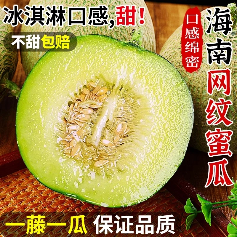 海南冰淇淋网纹蜜瓜3-9斤新鲜水果当季玫珑海阳蜜瓜甜瓜包邮