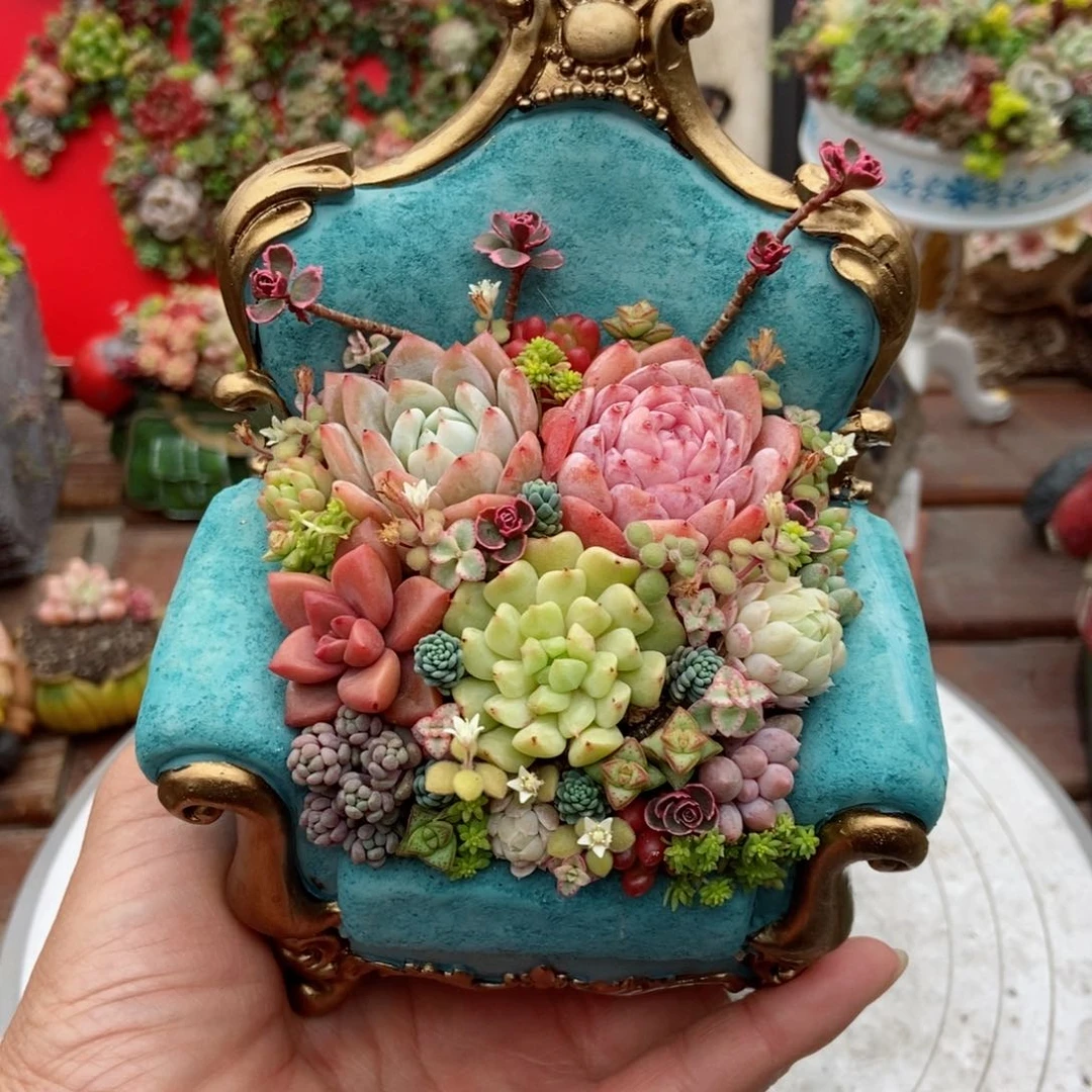 蓝色沙发成品带植物