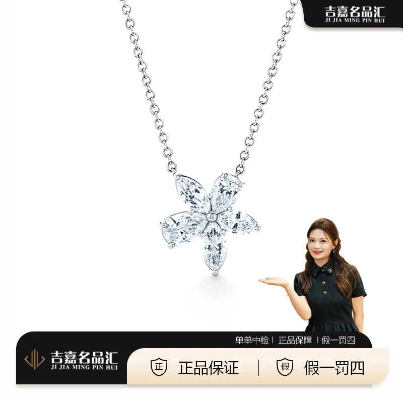 99新 Tiffany & Co./蒂芙尼 大号铂金满钻花簇项链