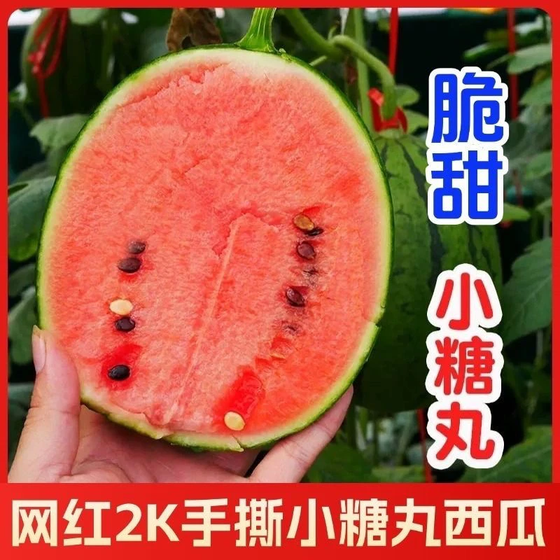 山东2k西瓜当季小糖丸（京东快递）