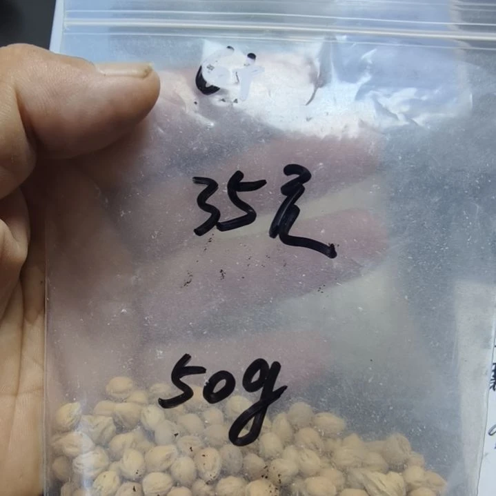 麓***悦柏香籽/百香籽吊坠