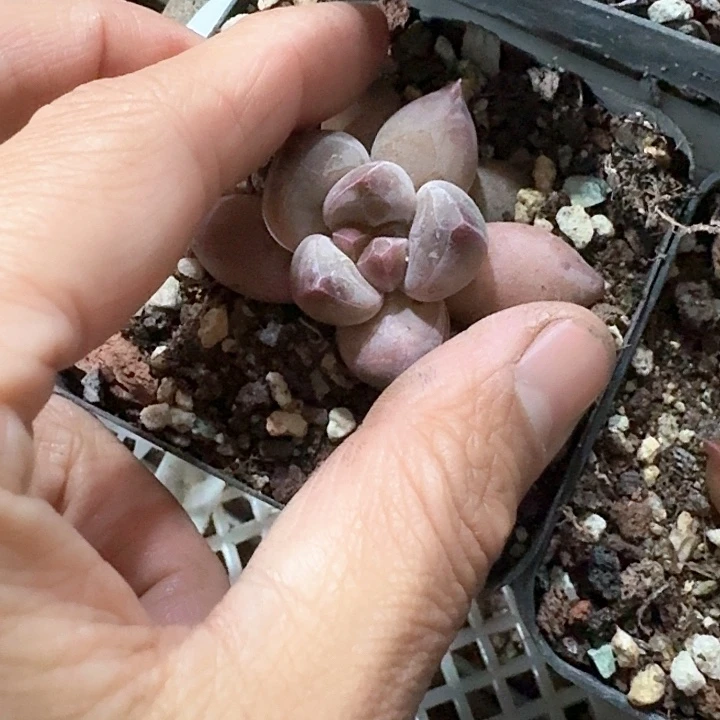 颂*x n z c b x xv v 343