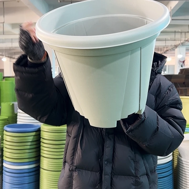 特价青山口40高34灰白无托5只