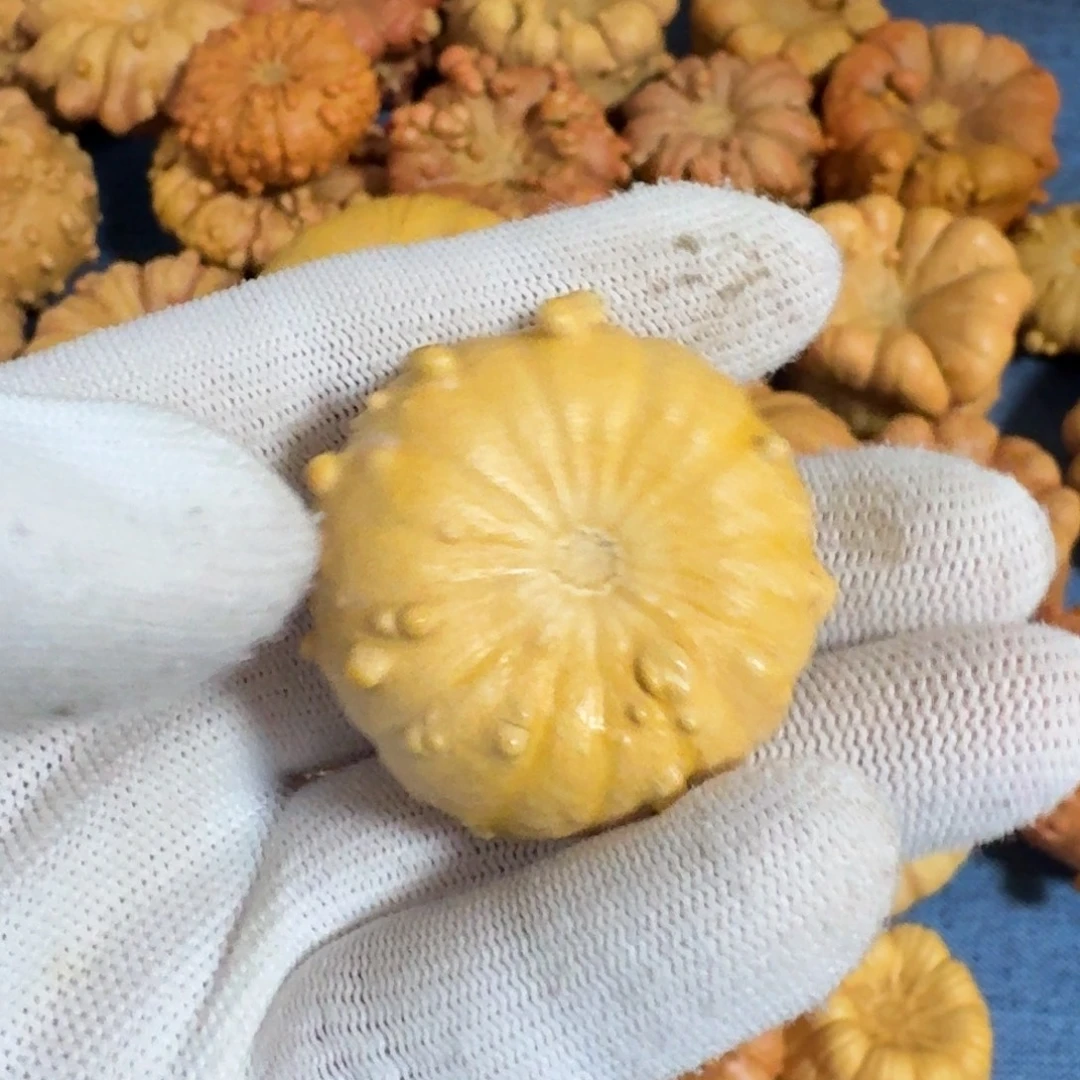 酒***亮葫芦墨西哥七彩疙瘩葫芦手把件