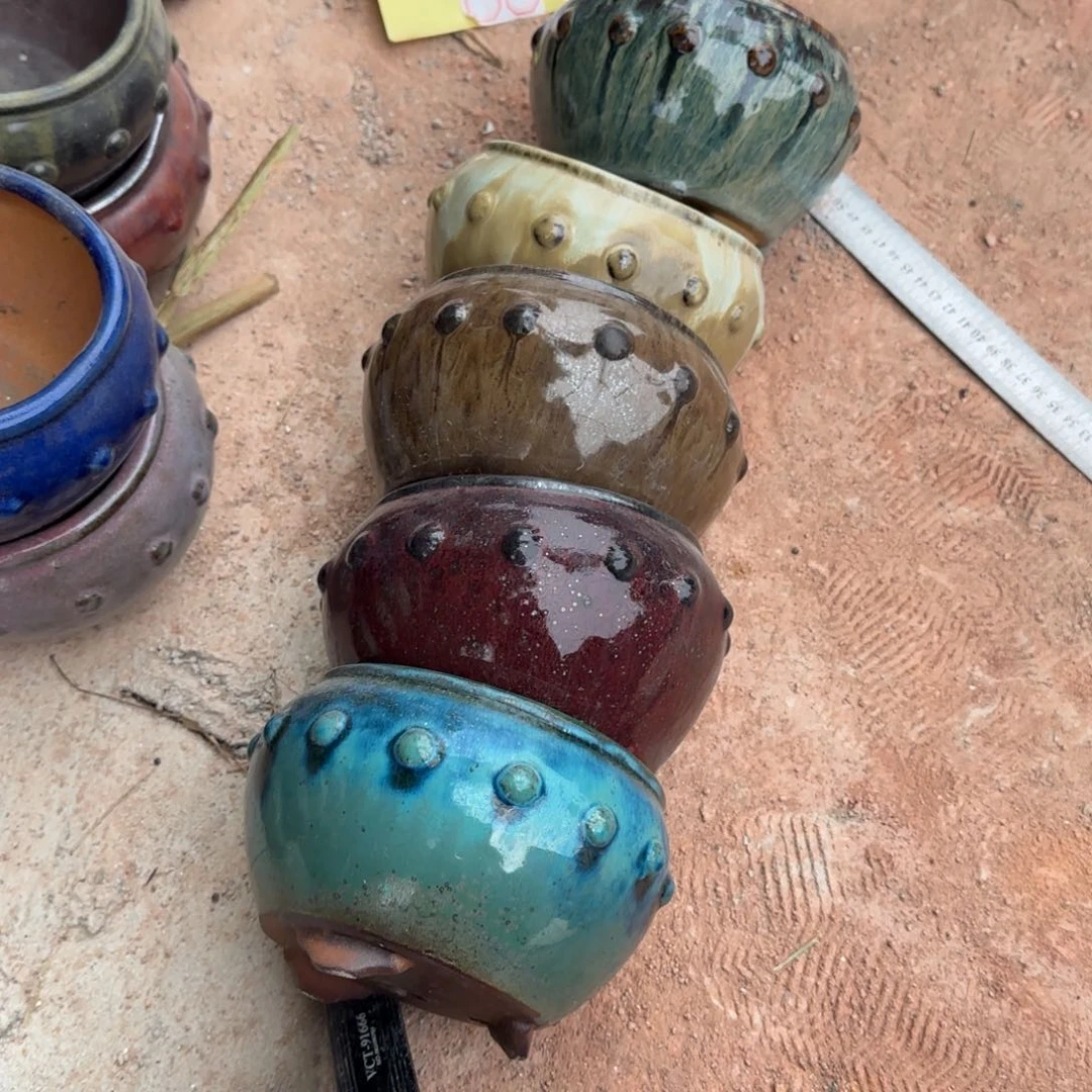 段泥花盆叶****李