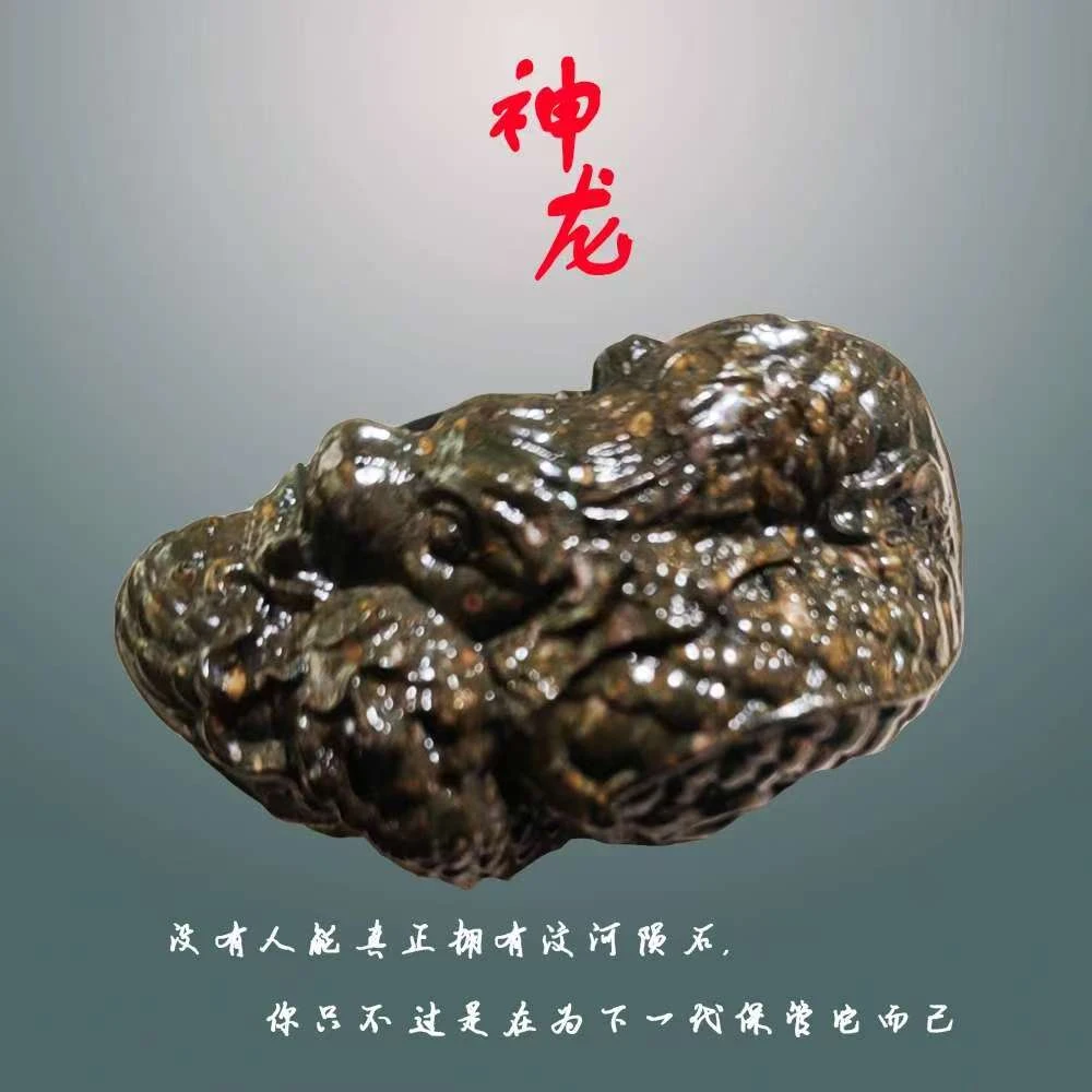 杞人忧天汶河碳质球粒石陨 貔犰手把件