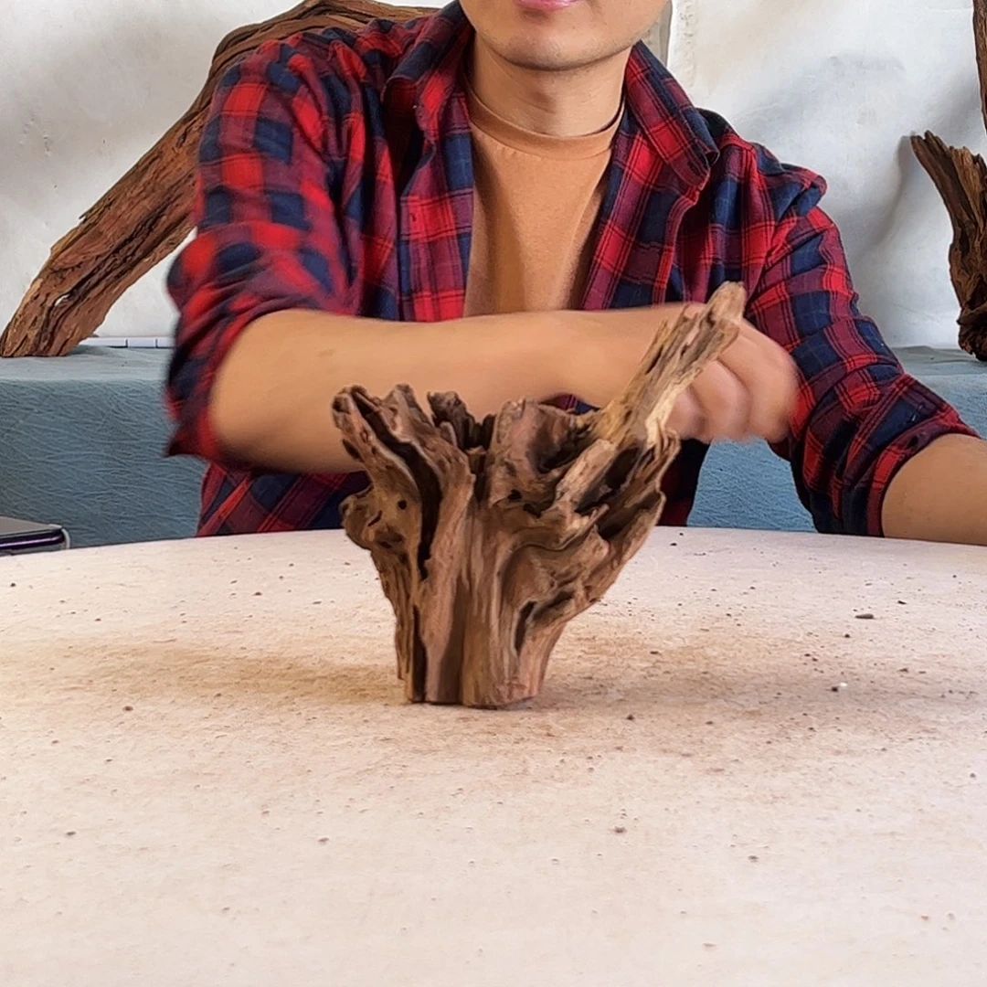 沉木造景爬宠造景