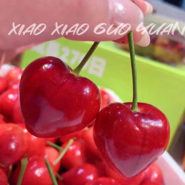 沙蜜豆特级樱桃一盒4J500g沙蜜豆