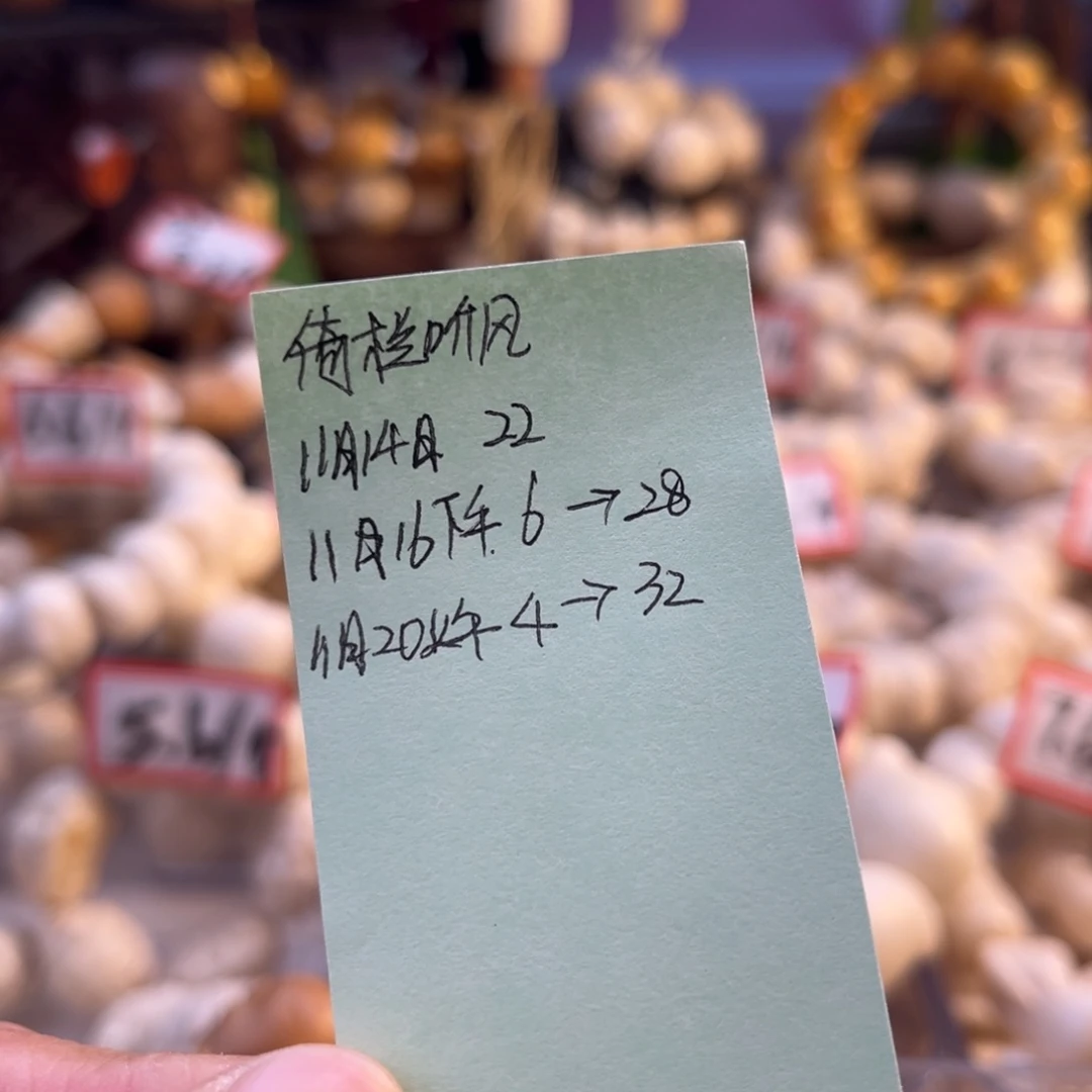 倚***风菩提根/象牙果手串依栏听风预存4