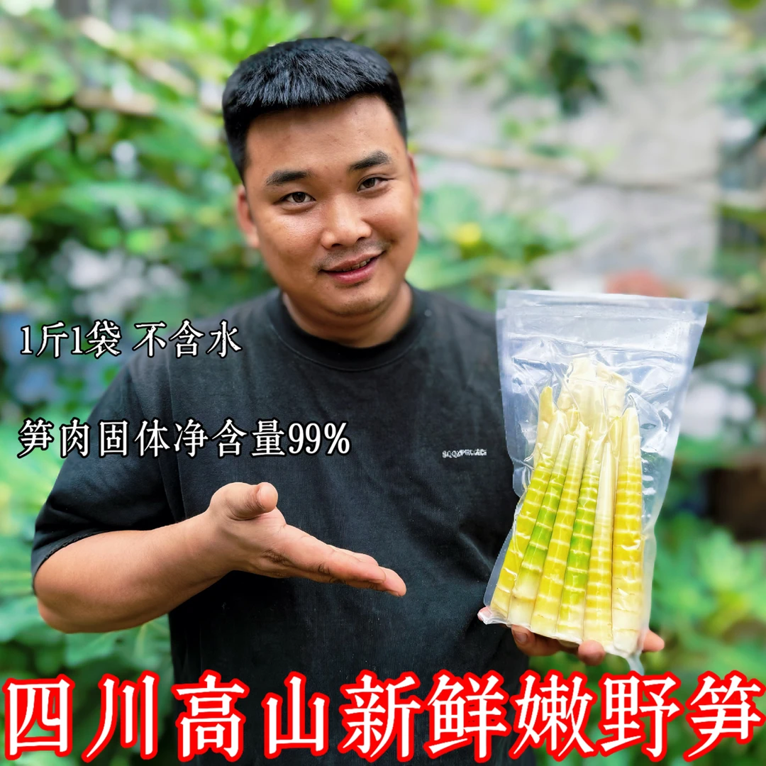 四川高山新鲜箭竹笋脆嫩火锅笋尖刺竹笋冷竹笋冷链包邮