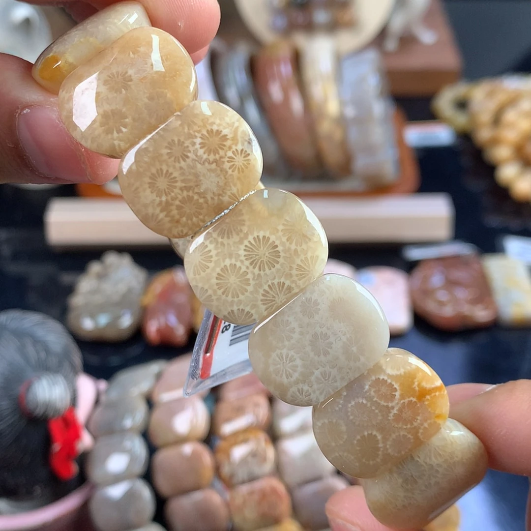 【闪购商品】硅化珊瑚（珊瑚玉）未镶嵌颈饰13号