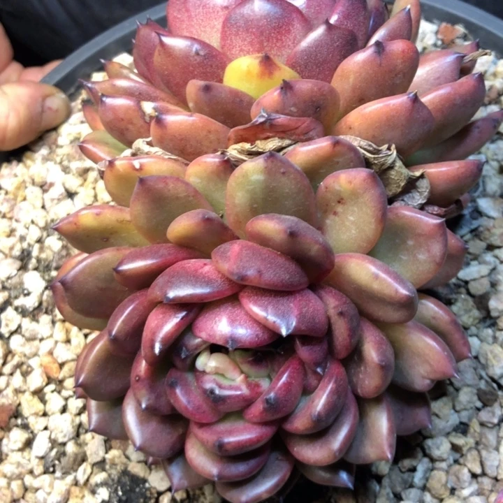 122/////////////////