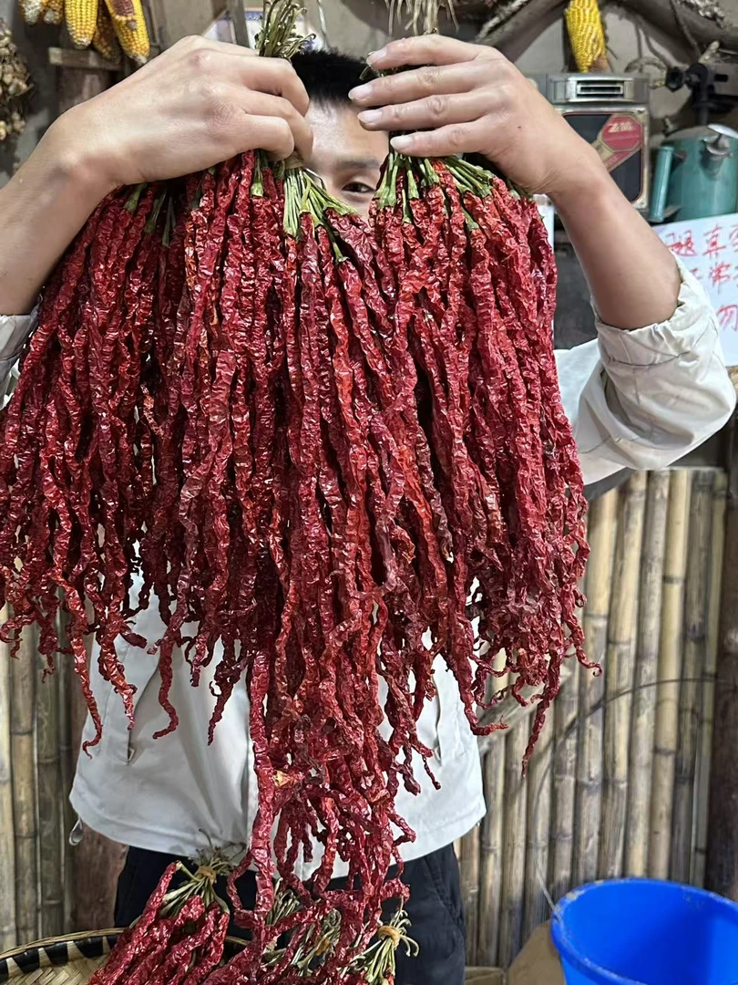 贵州香辣辣椒自然晒干风味辣椒