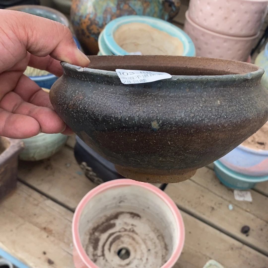 88号花盆内14高9瑕疵