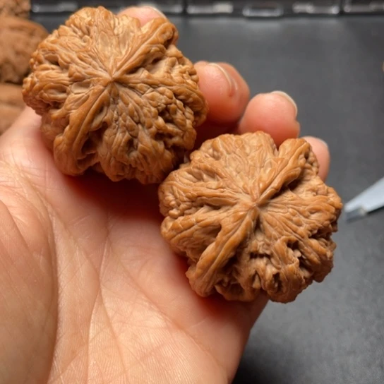 【闪购商品】把件文玩核桃毛**囡粗筋………