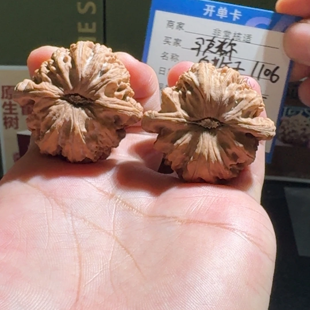 马***尔白狮子全品编号1106