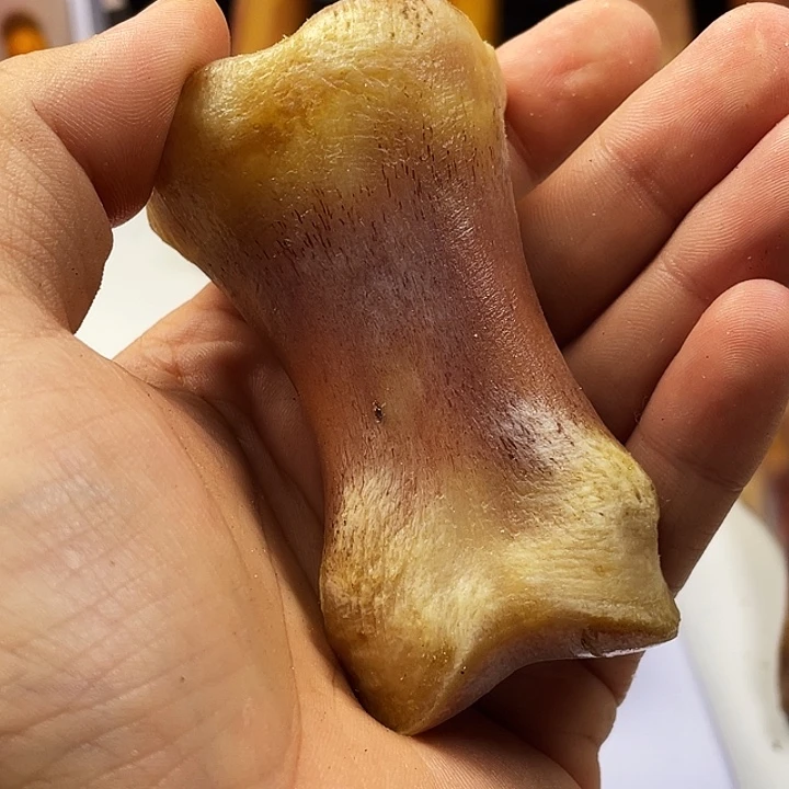 手串/手链驼骨1111