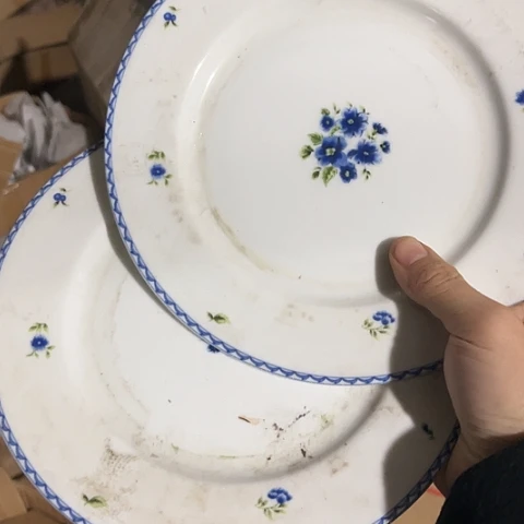 瓷其他8寸平盘两个