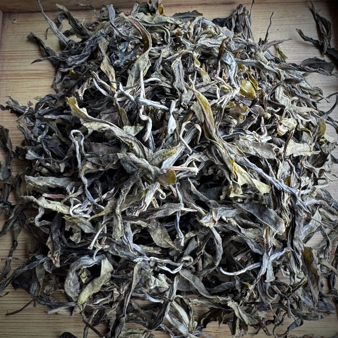 2025年头春坝卡囡7号古树普洱茶  黄金叶