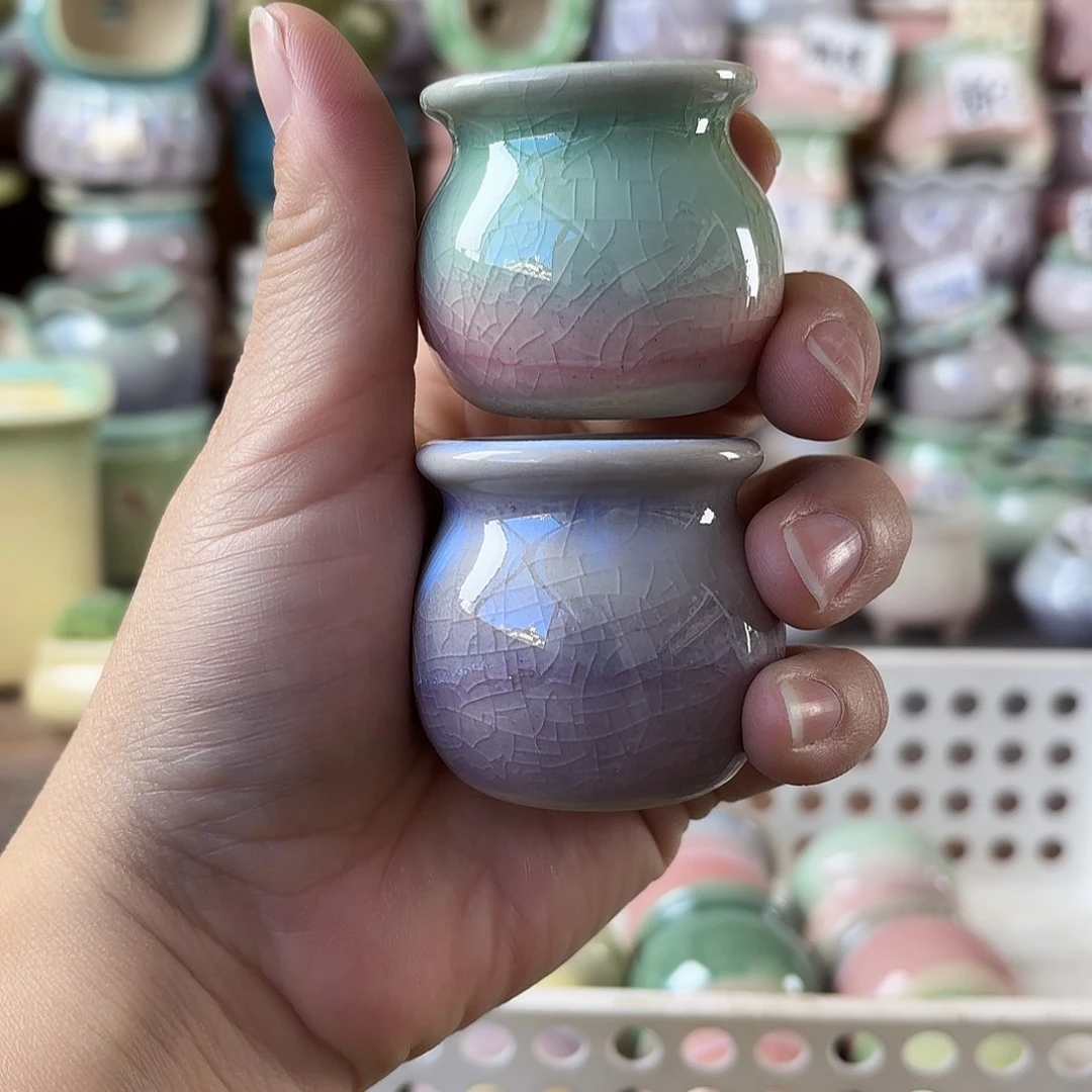 量货/3口高4深浅搭配发12