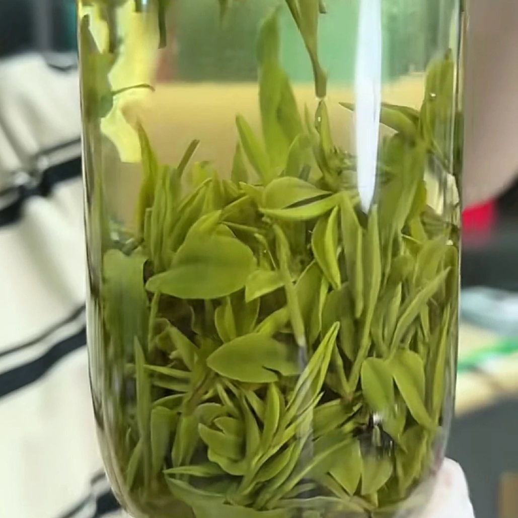 汤池兰花 老树茶浓香耐泡原计原味