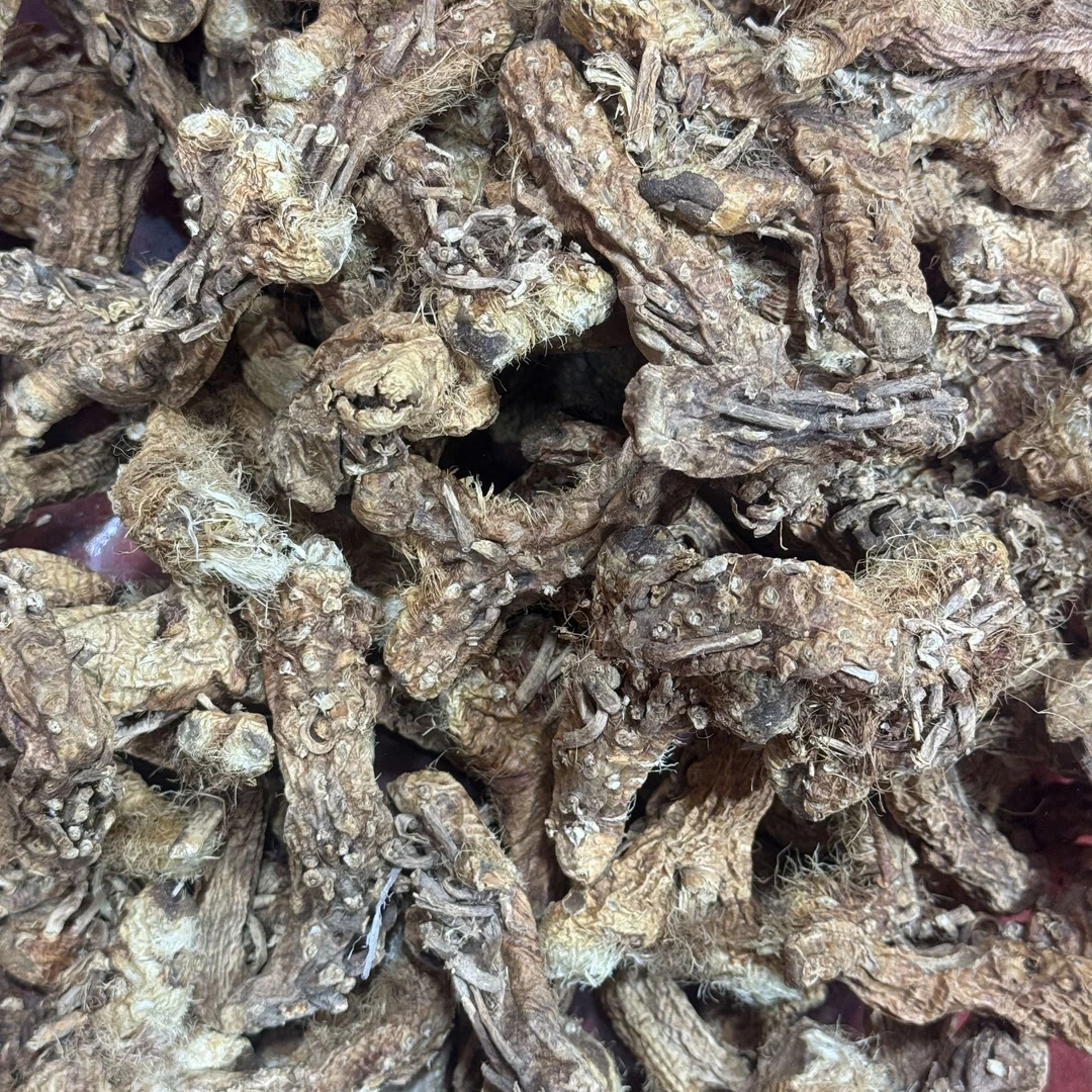 《阿权专享》太白山 穿山龙 拍一发四 罐装