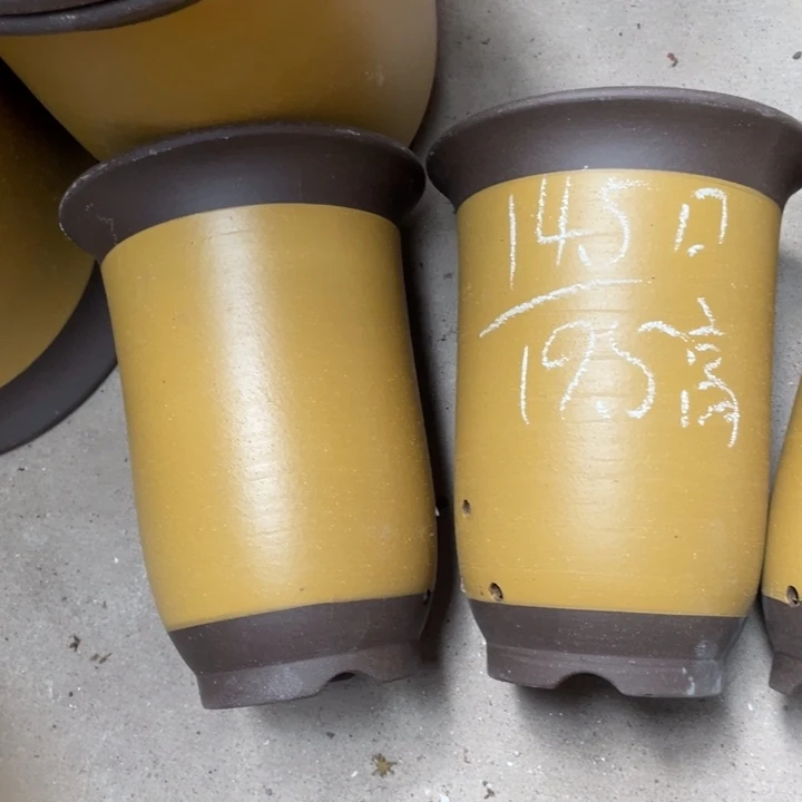 周深周深周深周深