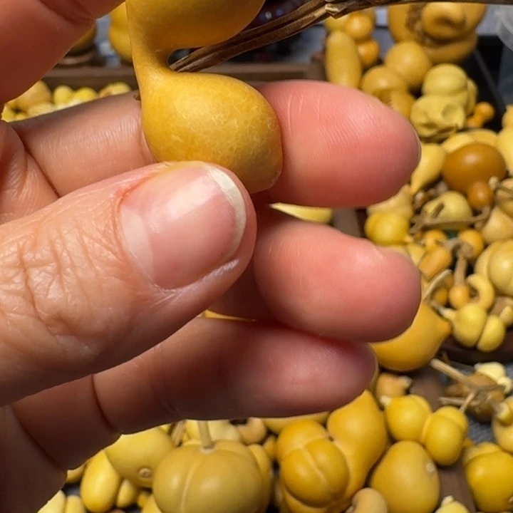 傅****?我的小可爱们都好可爱啊