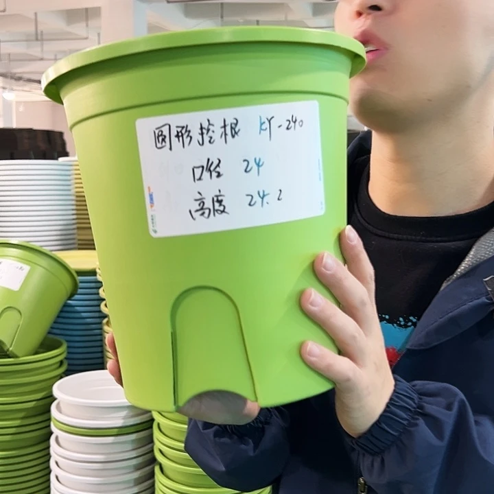 正品圆控口24高24果绿无托8只