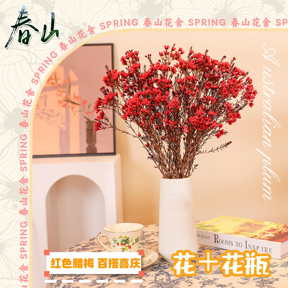 【红色腊梅+送花瓶+保鲜剂】鲜切年宵花期长红居摆放云南基地直发