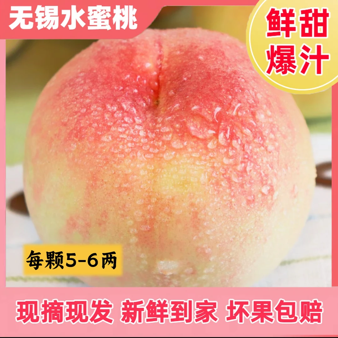 【正宗无锡水蜜桃6-5两】现摘新鲜超甜当季整箱桃子礼盒桃子桃子250-300g当季新鲜水果桃子江苏省