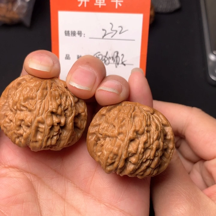 核桃摆件精品白狮子40尺232