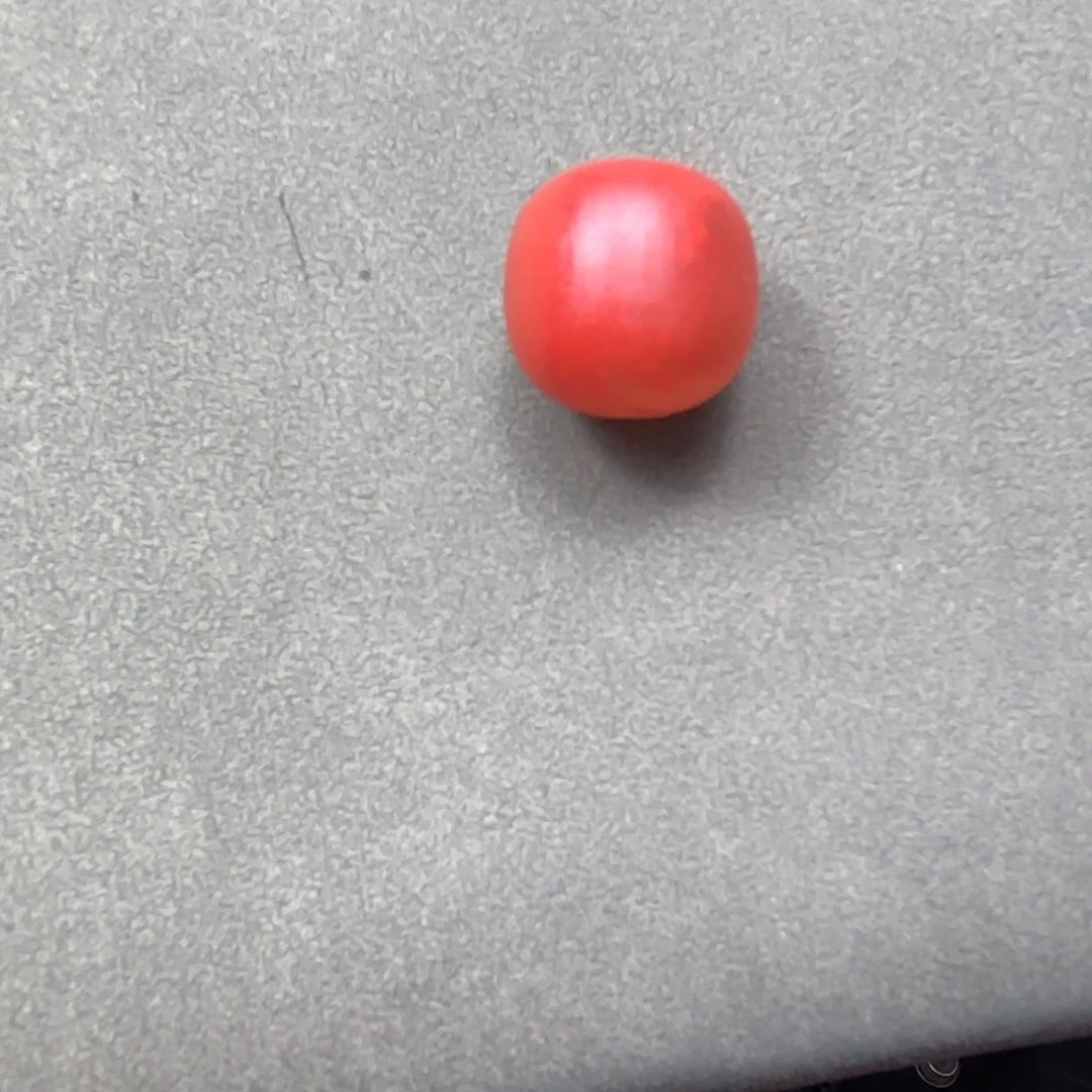 南红玛瑙颈饰合金小*贝